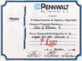 /album/reconocimientos/cye-curriculum-page29-image9-jpg/